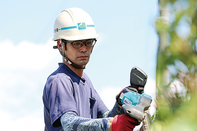 トリマーによる刈り込み剪定作業